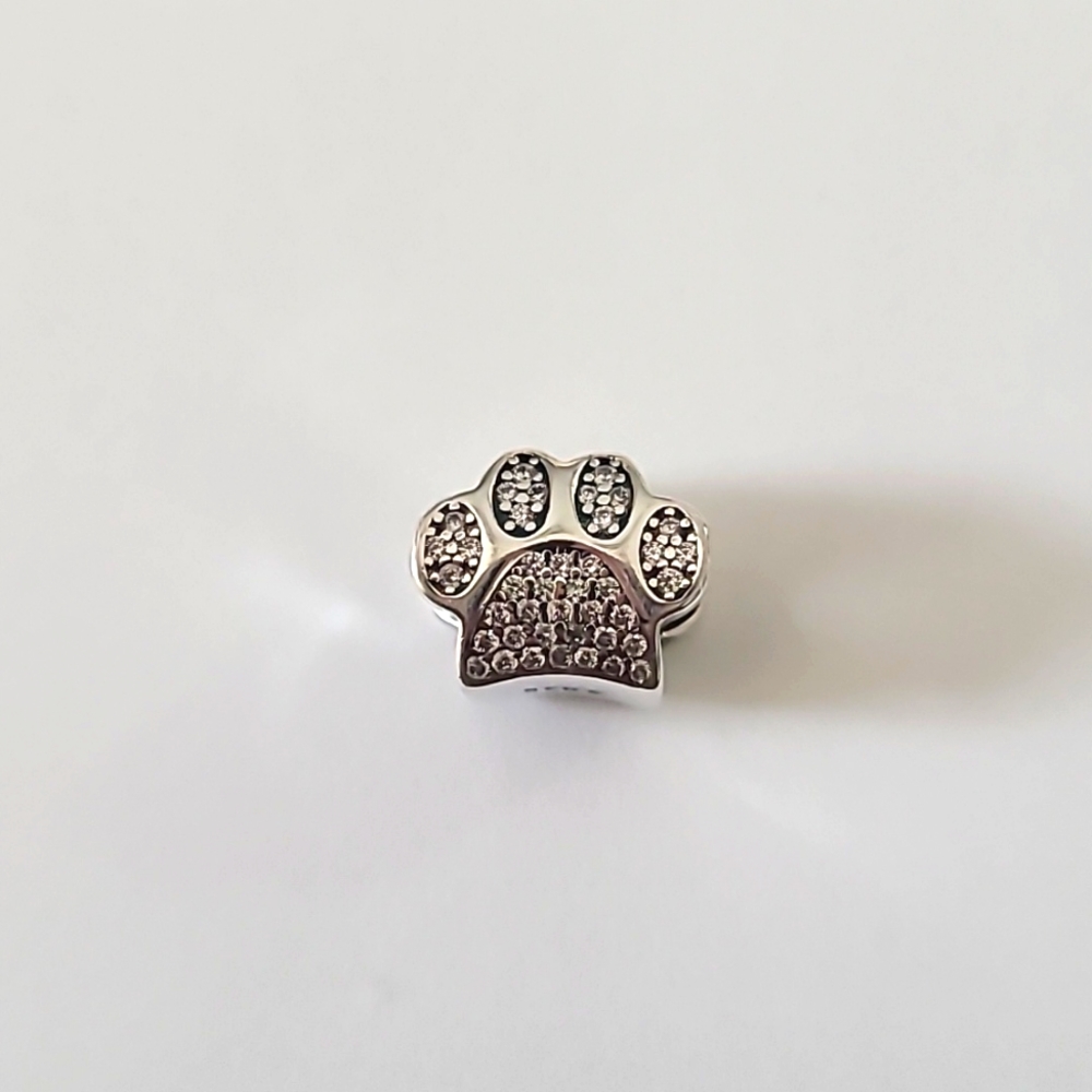 Pandora style charm